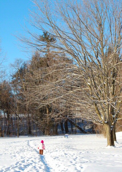 dsc_00120001-21