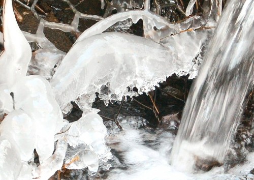 dsc_00240001-21