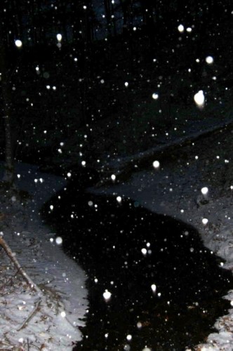 dsc_03000001 dsc_03000001
